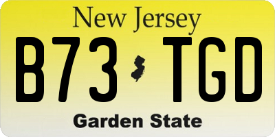 NJ license plate B73TGD