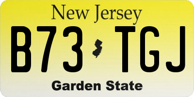 NJ license plate B73TGJ