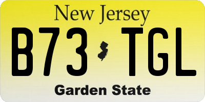 NJ license plate B73TGL