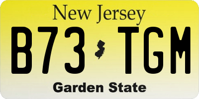NJ license plate B73TGM