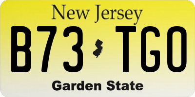 NJ license plate B73TGO
