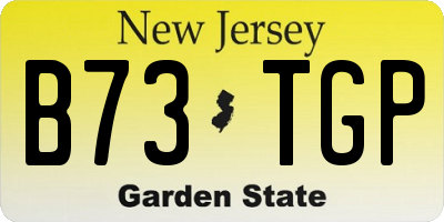 NJ license plate B73TGP