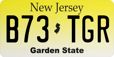 NJ license plate B73TGR