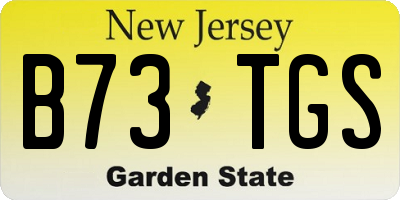NJ license plate B73TGS