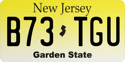 NJ license plate B73TGU