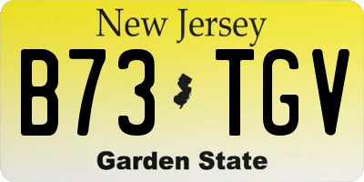 NJ license plate B73TGV