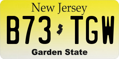 NJ license plate B73TGW