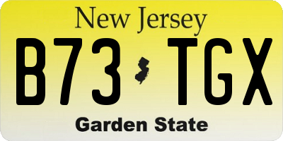 NJ license plate B73TGX