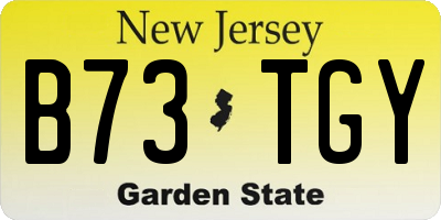 NJ license plate B73TGY