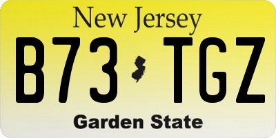 NJ license plate B73TGZ