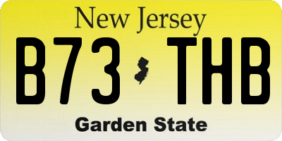 NJ license plate B73THB
