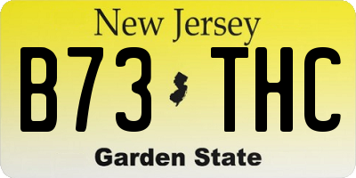 NJ license plate B73THC