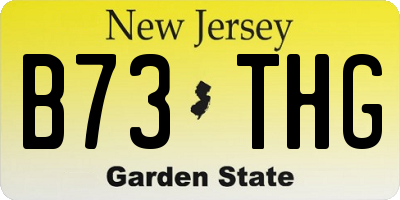 NJ license plate B73THG