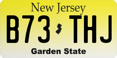 NJ license plate B73THJ