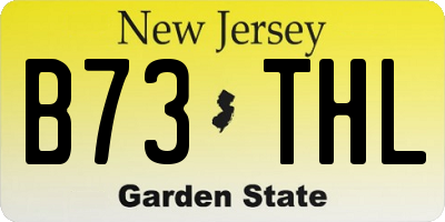 NJ license plate B73THL