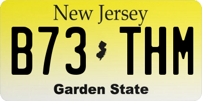 NJ license plate B73THM