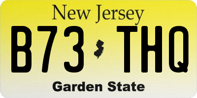NJ license plate B73THQ