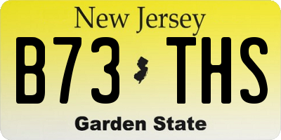 NJ license plate B73THS