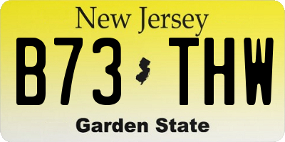 NJ license plate B73THW