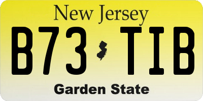 NJ license plate B73TIB