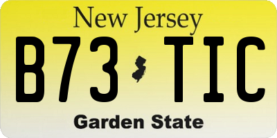 NJ license plate B73TIC