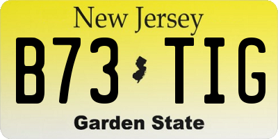 NJ license plate B73TIG