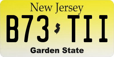 NJ license plate B73TII