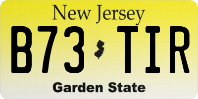 NJ license plate B73TIR