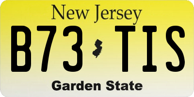 NJ license plate B73TIS