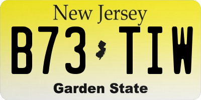 NJ license plate B73TIW
