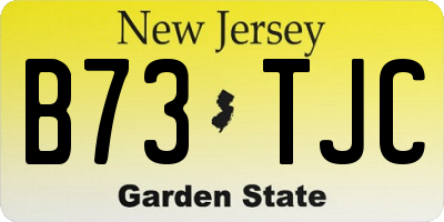 NJ license plate B73TJC
