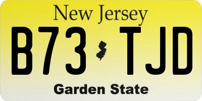 NJ license plate B73TJD