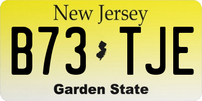 NJ license plate B73TJE