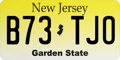 NJ license plate B73TJO
