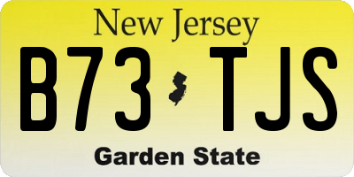 NJ license plate B73TJS