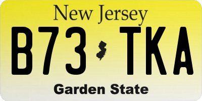 NJ license plate B73TKA