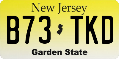 NJ license plate B73TKD