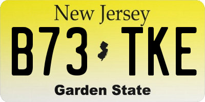 NJ license plate B73TKE