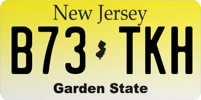 NJ license plate B73TKH