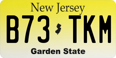 NJ license plate B73TKM