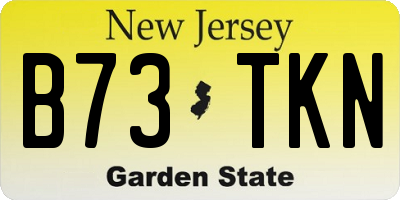 NJ license plate B73TKN