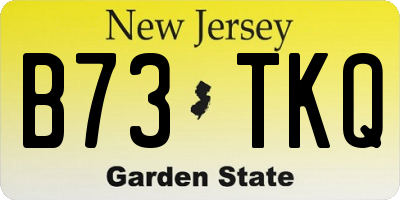 NJ license plate B73TKQ