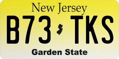 NJ license plate B73TKS