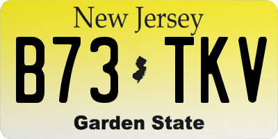 NJ license plate B73TKV