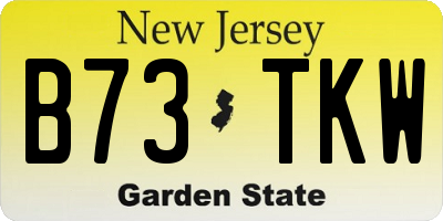NJ license plate B73TKW