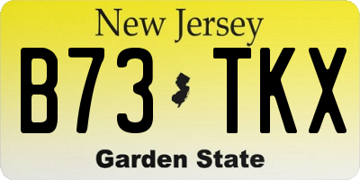 NJ license plate B73TKX