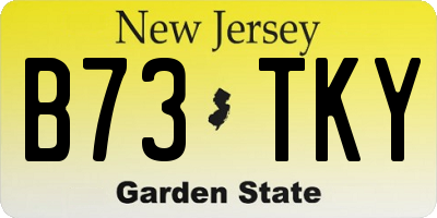 NJ license plate B73TKY