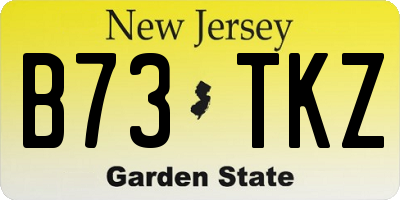 NJ license plate B73TKZ