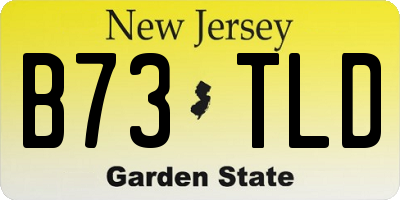 NJ license plate B73TLD