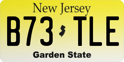 NJ license plate B73TLE